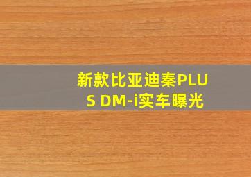 新款比亚迪秦PLUS DM-i实车曝光